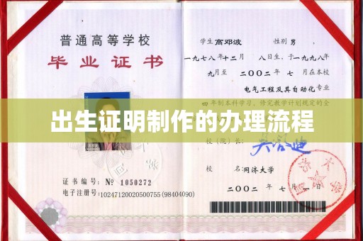 蒙城出生证明制作的办理流程